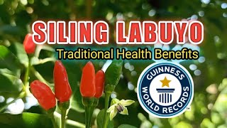 BEST CHILI AROUND THE WORLD SILING LABUYO TRADITIONAL HEALTH BENEFITS #katatayvlog #chili #herbal