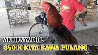 Pasar ayam Bangkok Prambanan Harini rame - kandang biru ABG