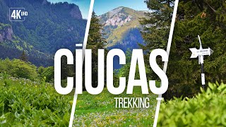 Ciucas Trekking