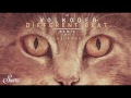 volkoder different beat original mix suara