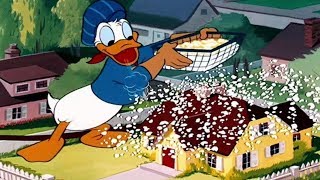 ᴴᴰ Pato Donald y Chip y Dale dibujos animados - Pluto, Mickey Mouse Episodios Co