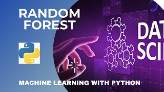 Random Forest algorithm in Python | Intro to machine learning for beginners