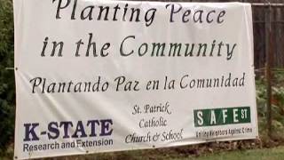 Community Gardens: Why Start One?