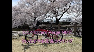 ミニベロTern Verge N8でさいたま市内の桜の名所をお花見ポタリング