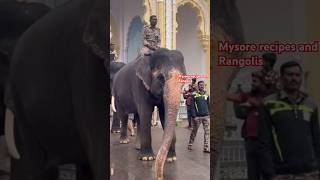 DASARA ELEPHANT # ಮೈಸೂರು ದಸರಾ ಹಬ್ಬಕ್ಕಾಗಿ ಆನೆಗಳ ತಾಲಿಮು ಅಭ್ಯಾಸ # elephant#dasara# vibes