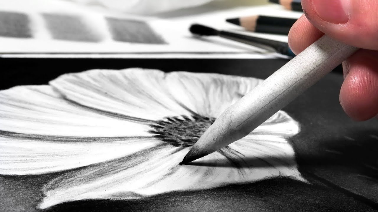 Charcoal Drawing Tutorial At Erminia Heavner Blog