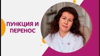 🔬Как происходит пункция фолликулов при ЭКО и перенос эмбриона? Как происходит пункция фолликулов.12+