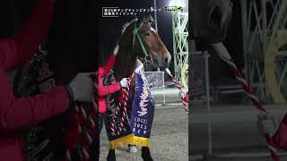 全員で勝ち獲った勝利！ライジンサン