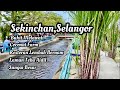 Tempat menarik di Sekinchan Selangor