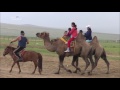 【k】mongolia travel ulaanbaatar 몽골 여행 울란바토르 엘싱타슬하 elsentasarkha gobi desert yurta