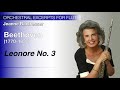 beethoven – leonore overture no. 3 baxtresser orchestral excerpts for flute