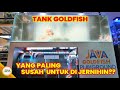 TANK GOLDFISH YANG PALING SUSAH BENING?