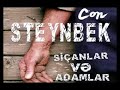 siçanlar və adamlar 1 ci hissə con steynbek sƏslİ kİtab