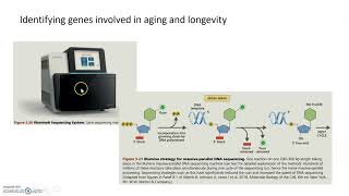 Studying Genetics of Aging: Forward Genetics