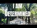 DM to DF: I'm taking charge of my life and determined to be with you | World Illuminator11