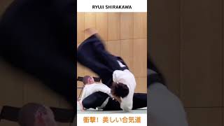 【Amazing】Special Aikido