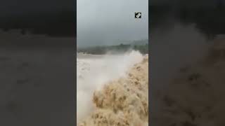 Gujarat Rains: Water released from Madhuban dam on Daman Ganga river