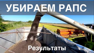 УБОРКА РАПСА | ОТЛИЧНЫЙ УРОЖАЙ 2022. Результаты