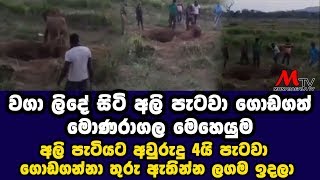 Elephant that fell into a well in Monaragala - Monaragala TV