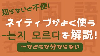 【-는지 모르다/韓国語】これであなたもネイティブ！？文法解説！