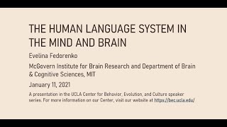 Evelina Fedorenko   The human language system in the mind and brain