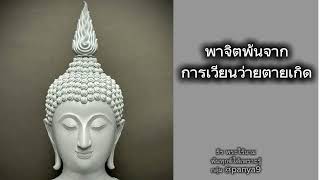 พาจิตพ้นการเวียนว่ายตายเกิด#ธีรพระไร้นาม #พ้นทุกข์ได้เพราะรู้ #บรรลุธรรม