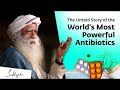 The Untold Story of The World’s Most Powerful Antibiotics | Sadhguru devotees