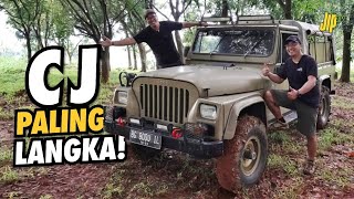 Jeep CJ-10, Ini Jeep Paling Langka di Indonesia | JIP TV