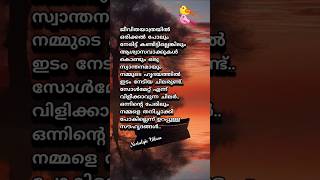 അവിചാരിതമായി പരിചയപ്പെടുന്ന ചിലരാണ് അവസാനം നമ്മുടെ ആരൊക്കെയോ ആയിത്തീരുന്നതും | Nostalgic Vibezz