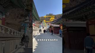 韩国佛寺祈愿之行#日常vlog #韩国二手车#熊猫姐姐韩国二手车