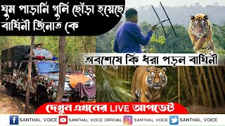 ঘুম পাড়ানি গুলি ছোঁড়া হয়েছে বাঘিনী জিনাত কে | অবশেষে কি ধরা পড়ল কি বাঘিনী দেখুন এখনের LIVE আপডেট