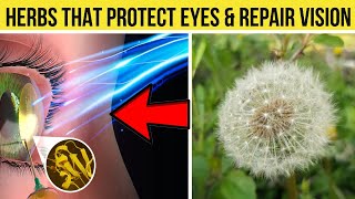 Powerfull Herbs That Protect Eyes And Repair Your Vision