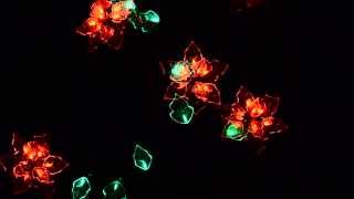 Homebrite LED poinsettia decor