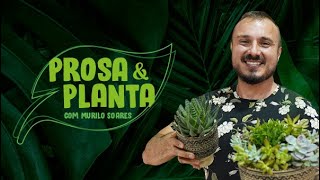 PROSA & PLANTA COM MURILO SOARES I EPISÓDIO#006