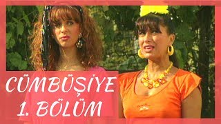 Cümbüşiye 1. Bölüm