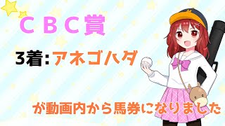 【CBC賞2022予想】#CBC賞 の過去10年傾向と注目馬の紹介【競馬Vtuber/兎鉄たまき】