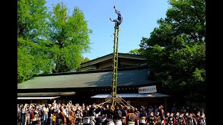 【令和4年5月3日】江戸消防記念会第九區 新賽銭箱奉納 木遣り＆梯子乗り【大宮八幡宮】