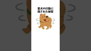 愛犬の行動に隠された秘密　#犬 #ペット #雑学