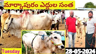 మార్కాపురం ఎద్దుల సంత / 28-05-2024 /Markapuram Bulls Market / Ongole Bulls Good Santha / #Ap.#india