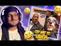 Try Not Laugh Challenge 7