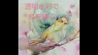 透明水彩で鳥を描く