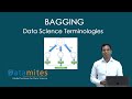 Bagging - Data Science Terminologies - DataMites Training