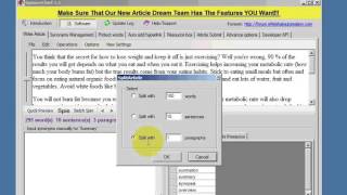 SpinnerChief Tutorial Split Function