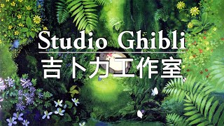 安妮音樂工作室吉卜力OST歌曲合集3小時連續播放♬情感刺激吉卜力安妮OST合集♬ Studio Ghibli Best Songs Collection