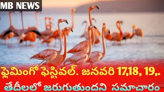 NYP( MB News)ఫ్లెమింగో ఫెస్టివల్. జనవరి 17,18, 19,. తేదీలలో జరుగుతుందని  సమాచారం