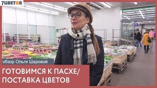 7 цветов: цветы на пасху. Поставка срезанных цветов с Ольгой Шаровой от лидера поставки цветов