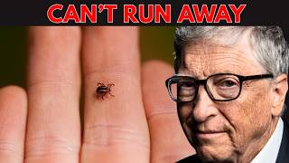 🚨 AMERICA’S TICK EXPLOSION JUST HIT A NEW LEVEL — AND MOST PEOPLE HAVE NO IDEA WHAT’S COMING