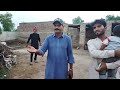 pak village family || rabia's life ||asia ahmed vlogs