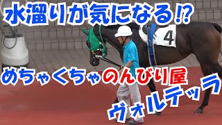 【クラスターカップ2023】day  第5R 動きがゆったりヴォルテッラ 現地映像