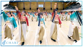 【8K】早稲田大学 東京花火｜かみはかり（Tokyo Hanabi 2020 “Kamihakari”）【よさこい】